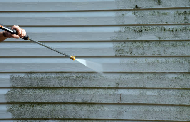 Best Pressure Washing Siding  in Caldwell, ID